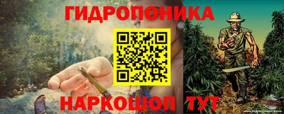 дмт Янаул